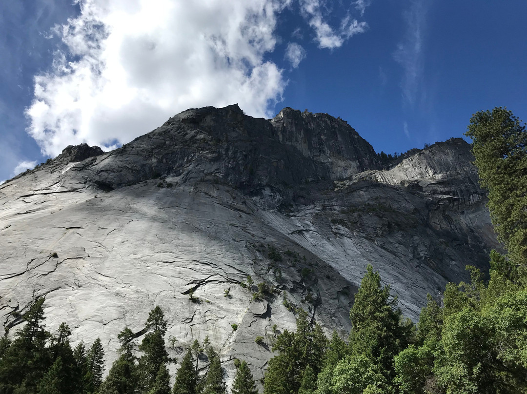 Upper Pines Campground主图