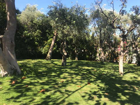 Forte Village SARDINIA主图