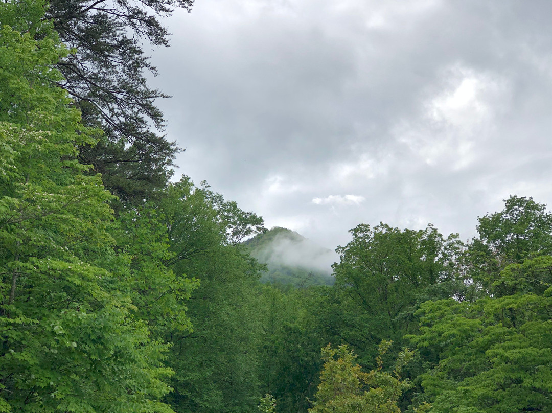 Little Greenbrier Lodge主图