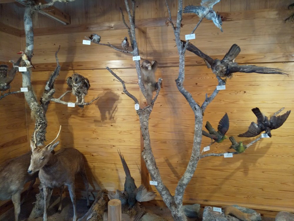 Kenyama Nature Information Center-三好市必去景点