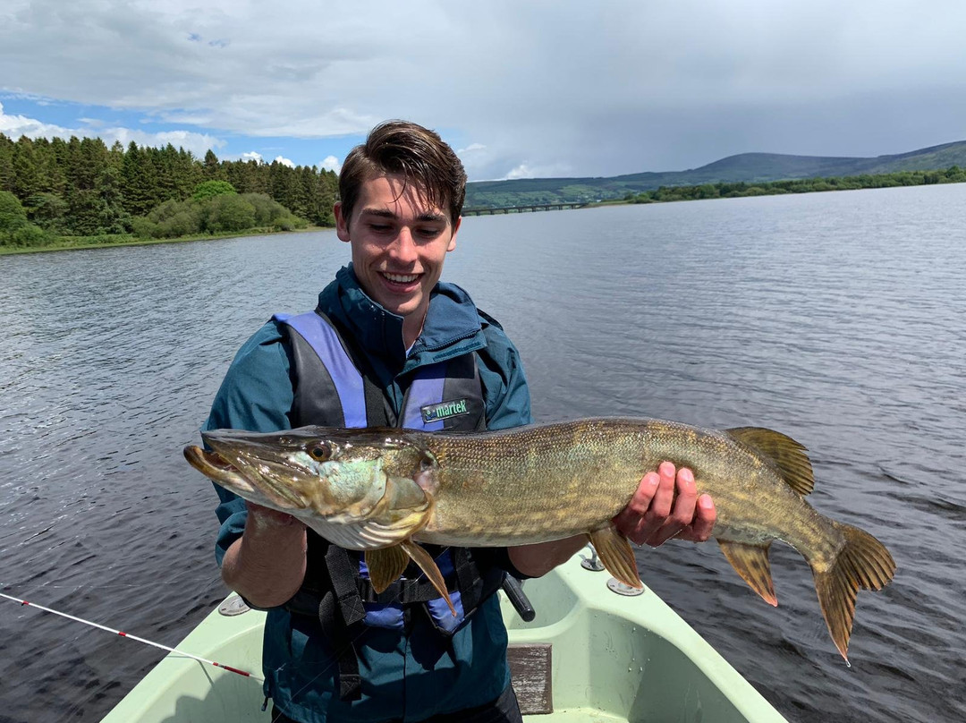 Blessington Lake Boat Hire-Ballyknockan必去景点