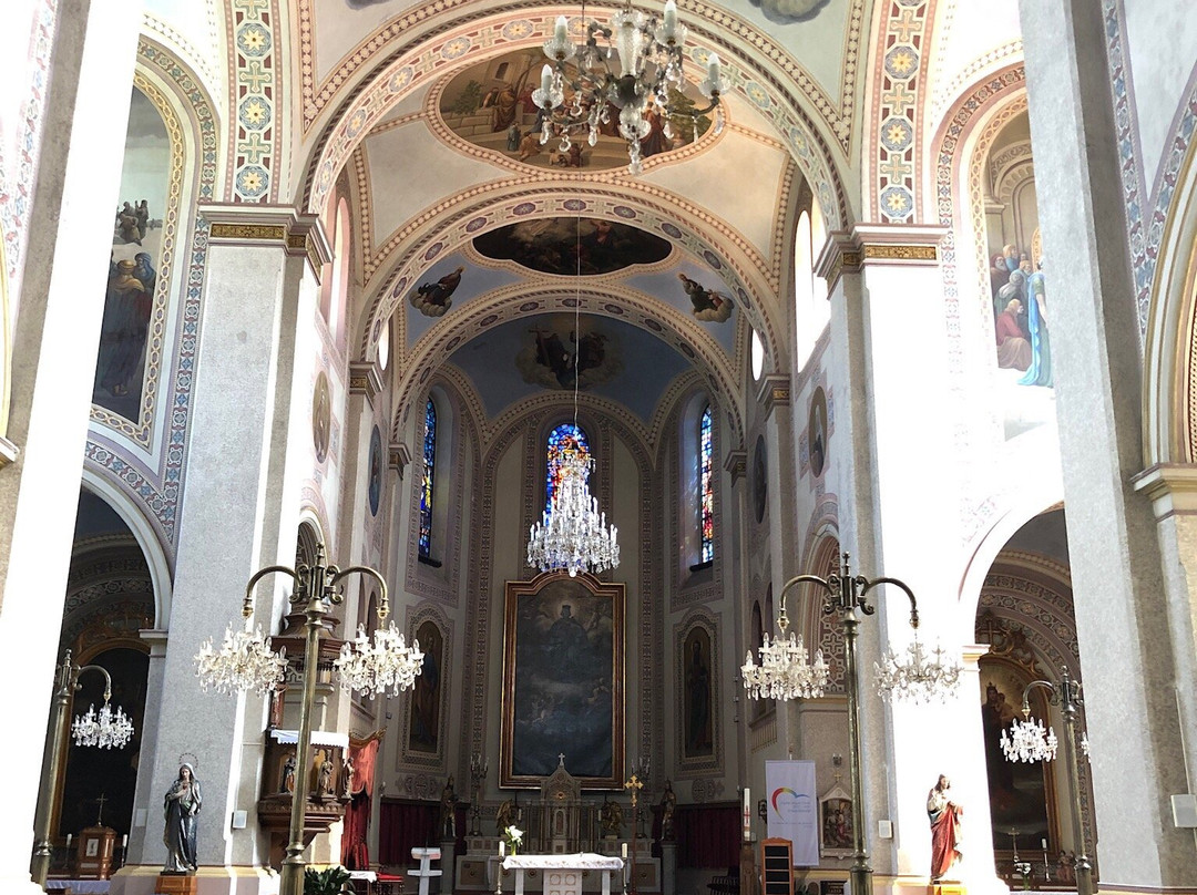 Zrenjanin Catholic Cathedral景点图片