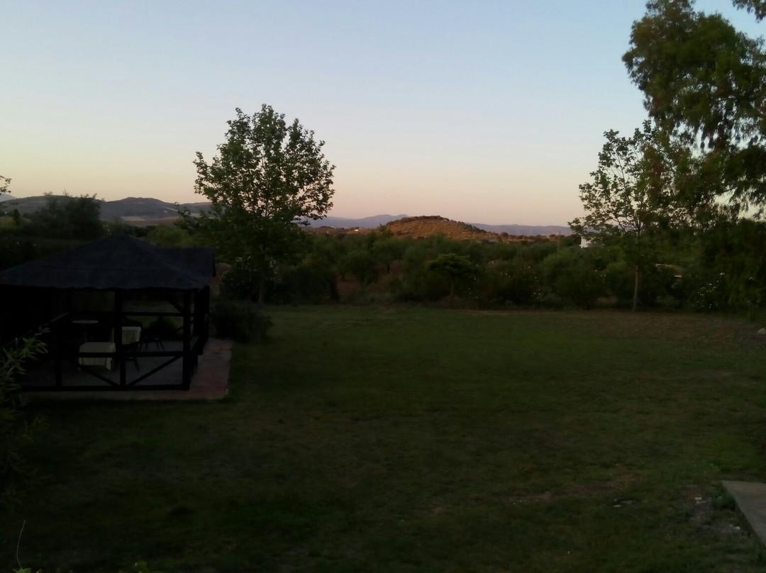 鸽子乡村酒店主图