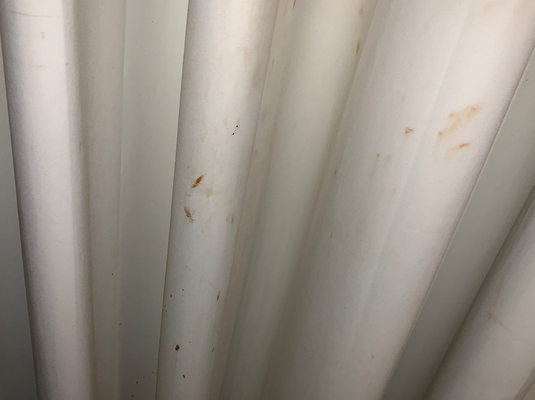 Clarion Inn Renton-Seattle主图