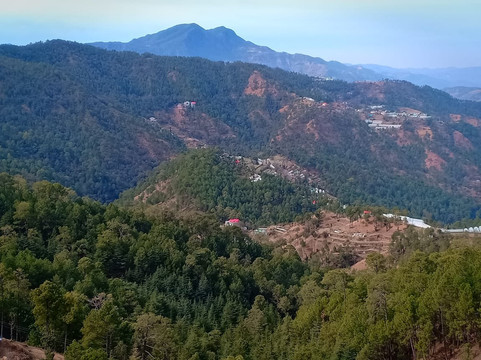 酒店舒适庄园主图