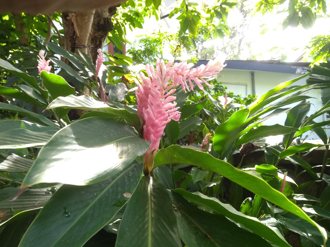 Yoho Ivory Inn主图