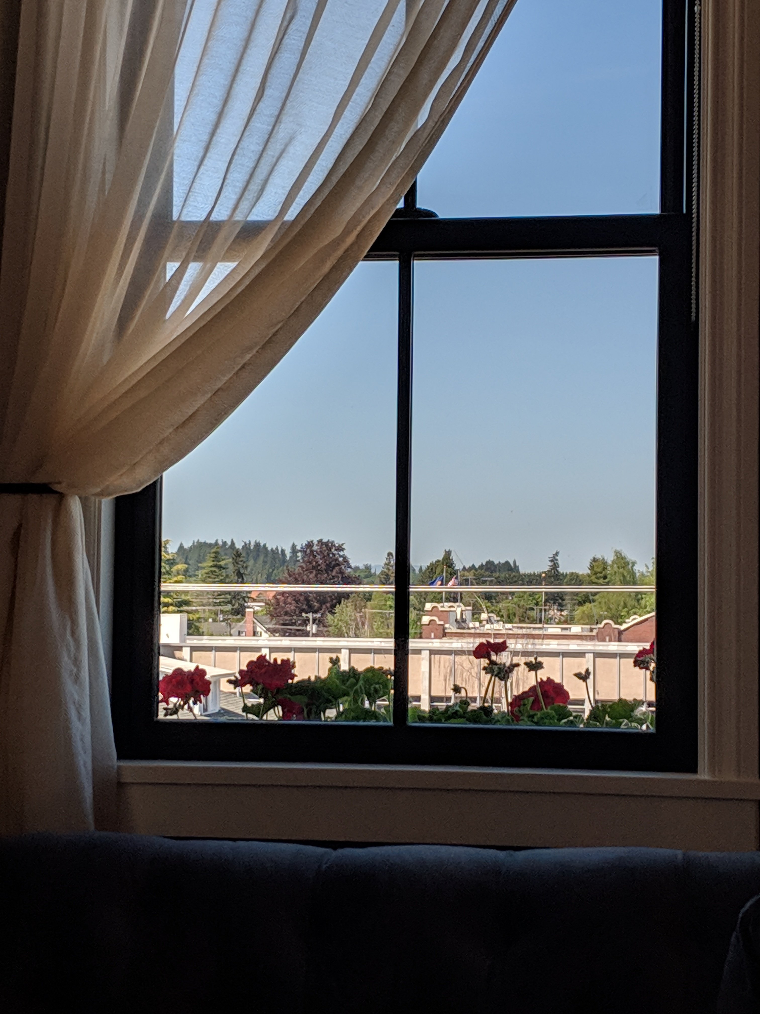 Atticus Hotel-酒店景观