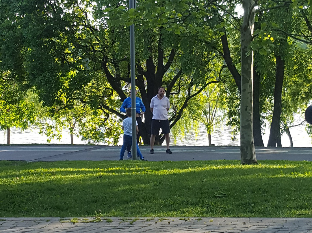 Parcul Alexandru Ioan Cuza-布加勒斯特必去景点