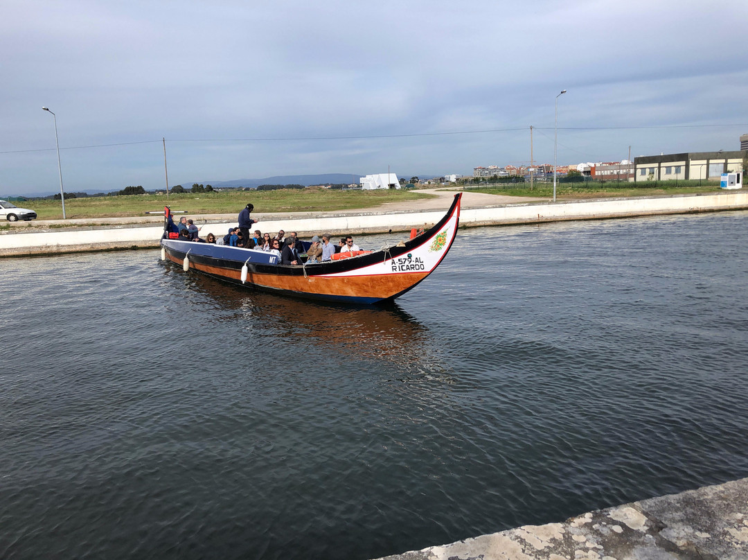 Explore - Aveiro Walking Tour-阿威罗必去景点