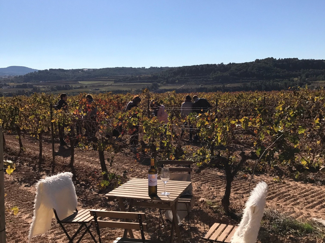 Bodegues Sumarroca-Subirats必去景点