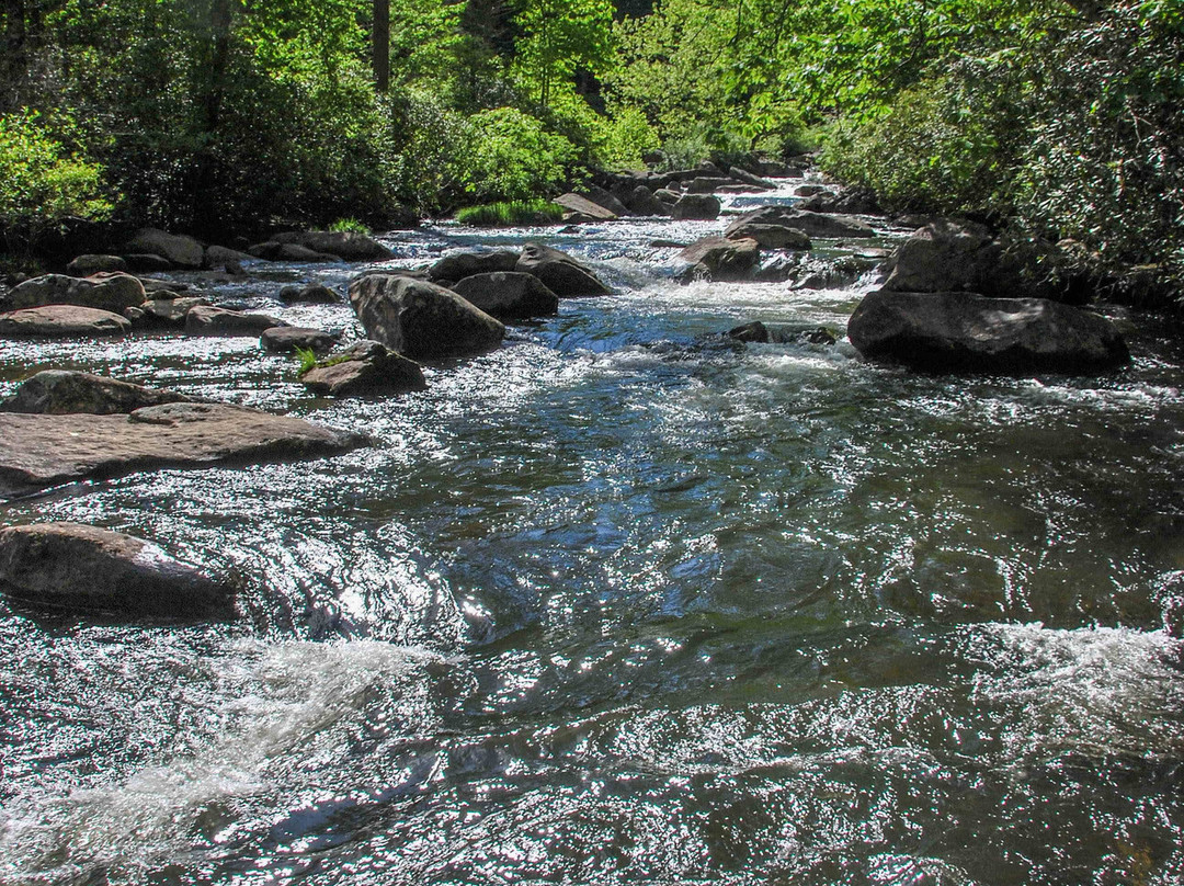 Gorges State Park景点图片