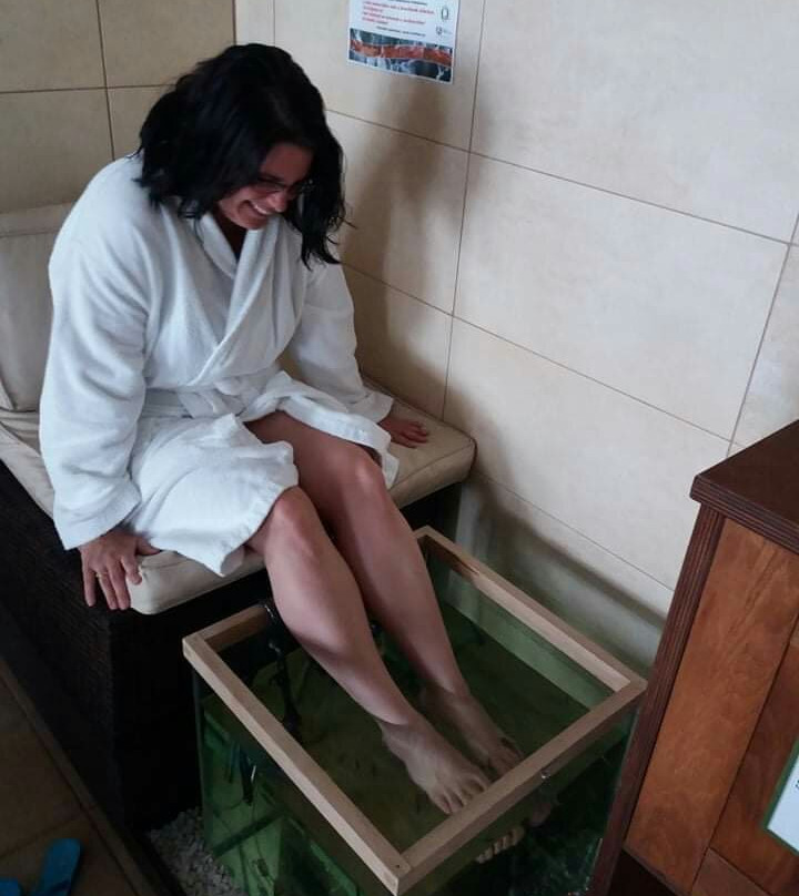 Szalajka Liget Hotel主图