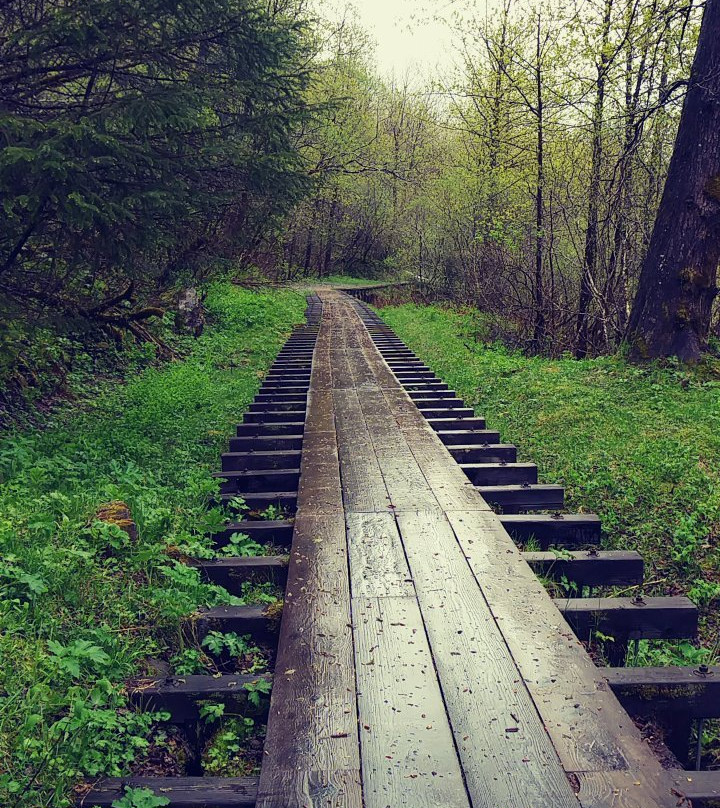 Gold Creek Flume Trail-朱诺必去景点