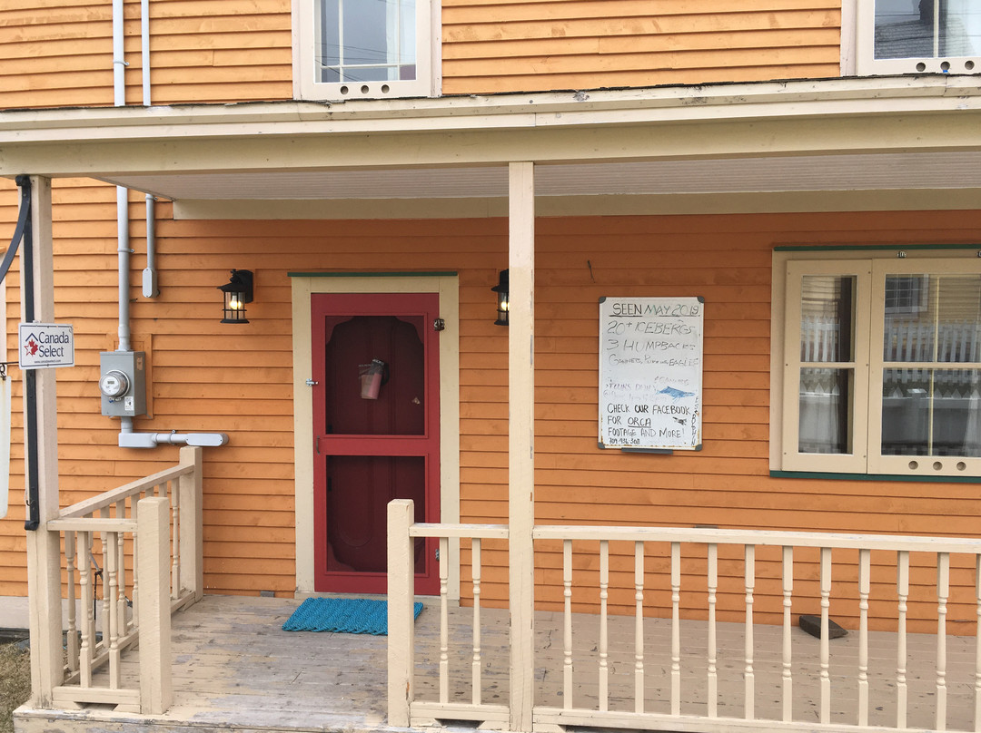 Trinity Eco-Tours and Lodge主图