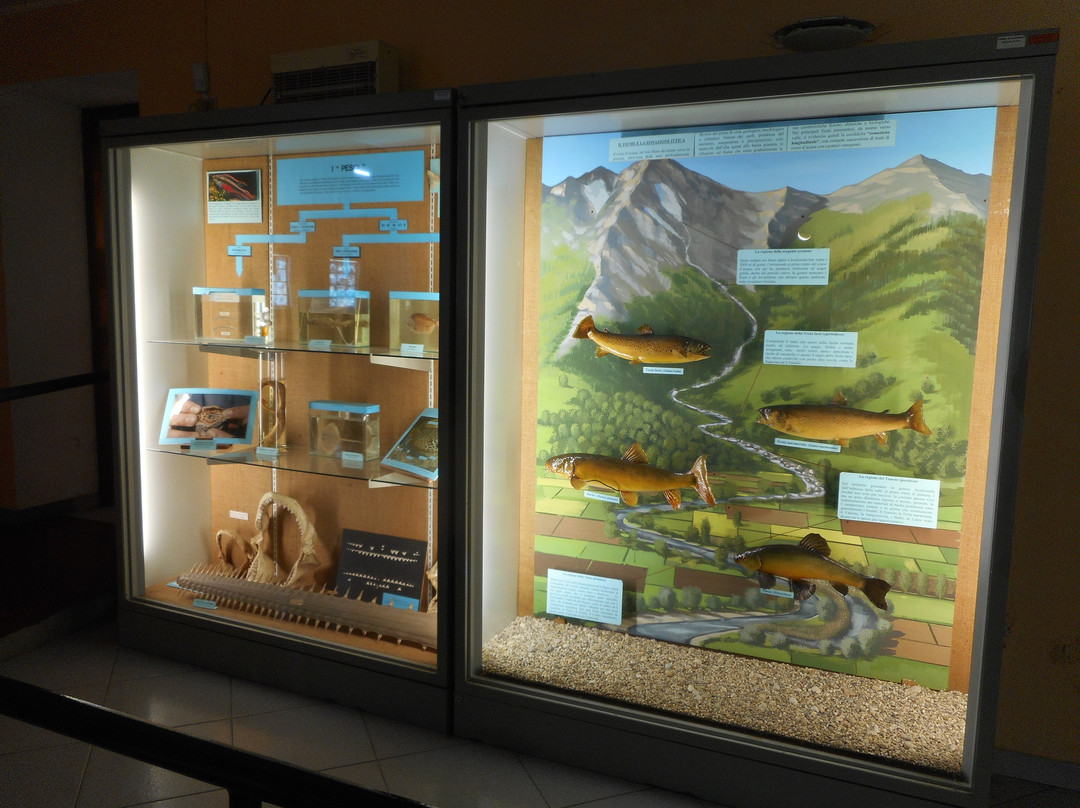 Museo Civico di Storia Naturale景点图片