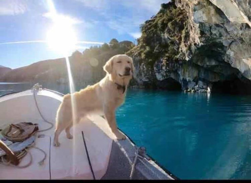 Rys patagonia aventura-Puerto Rio Tranquilo必去景点