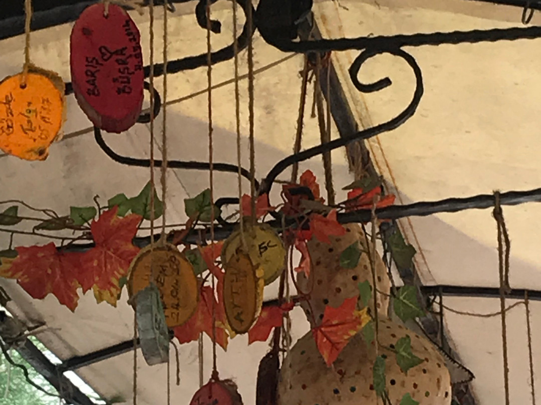 Germia Unii Hotel主图