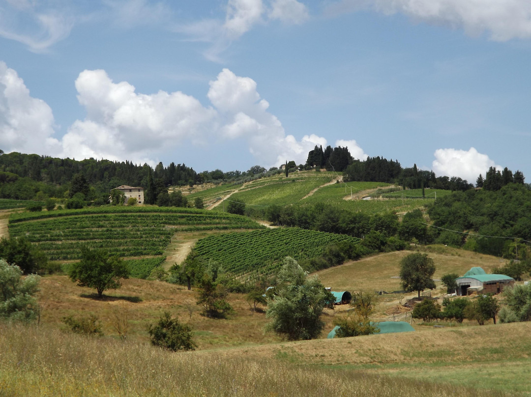 Happy in Tuscany di Firas Shibeeb-佛罗伦萨必去景点