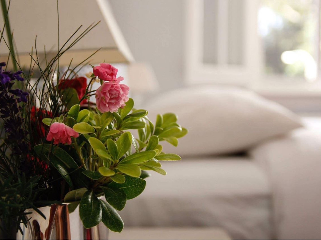 Alquimista Montevideo主图