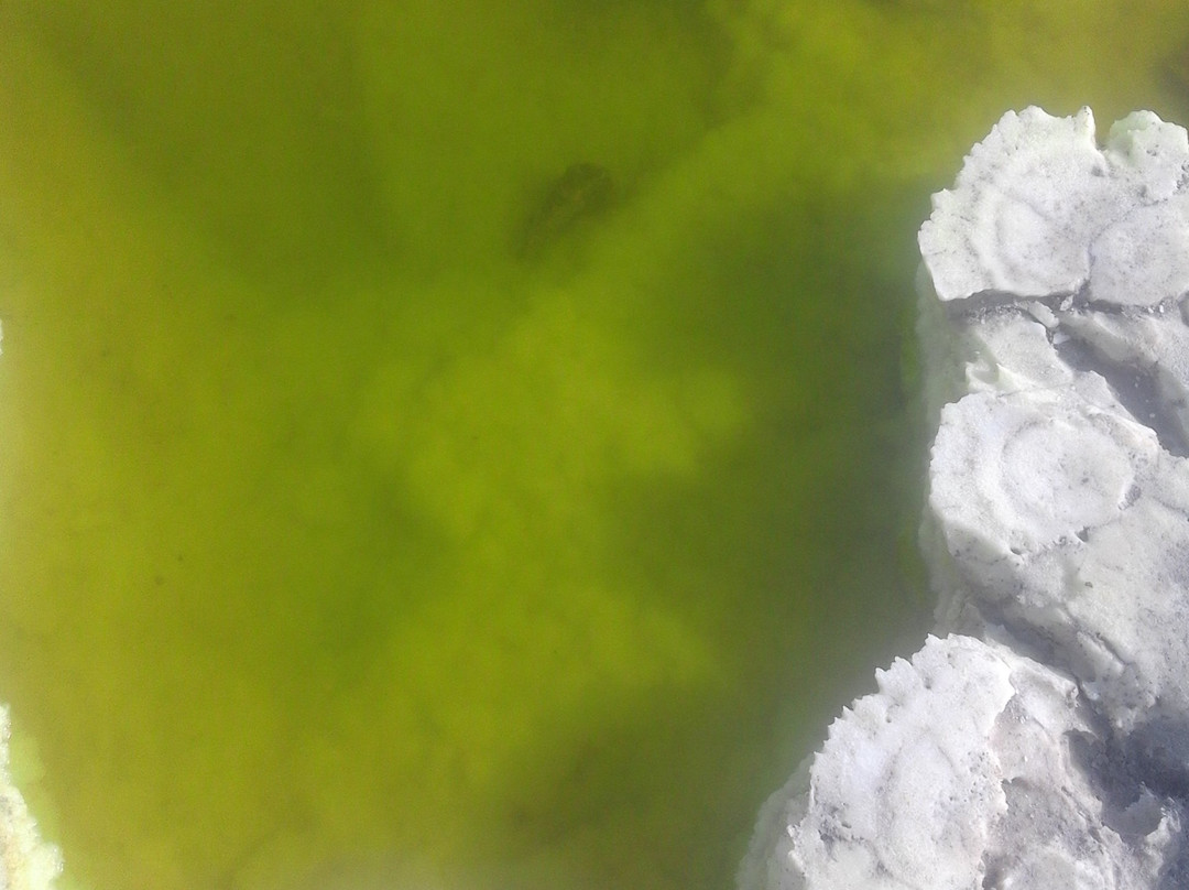 Agesha Tours-亚的斯亚贝巴必去景点