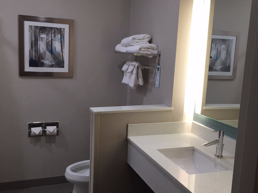 Fairfield Inn & Suites by Marriott Huntsville主图