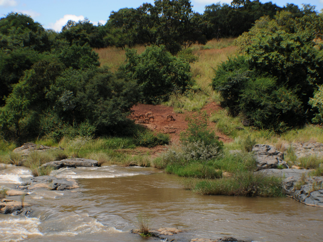 Koubad Farm Lodge主图