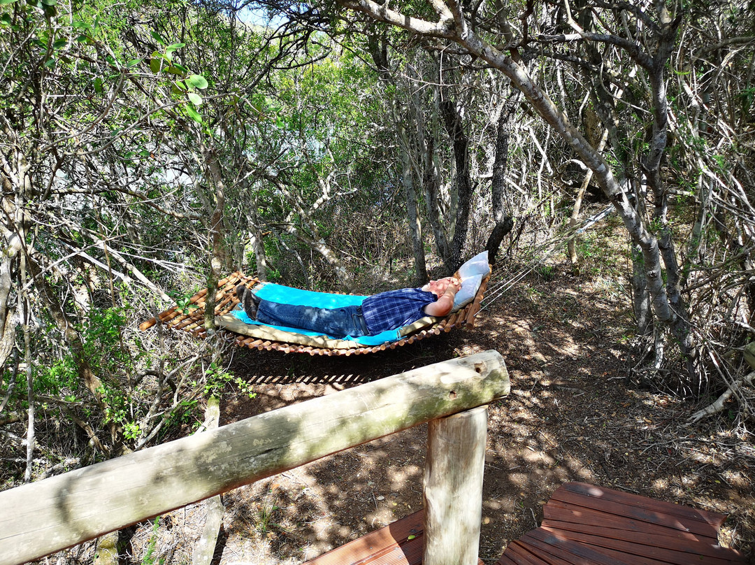 Sibuya Game Reserve: Tented Camps and Lodge主图