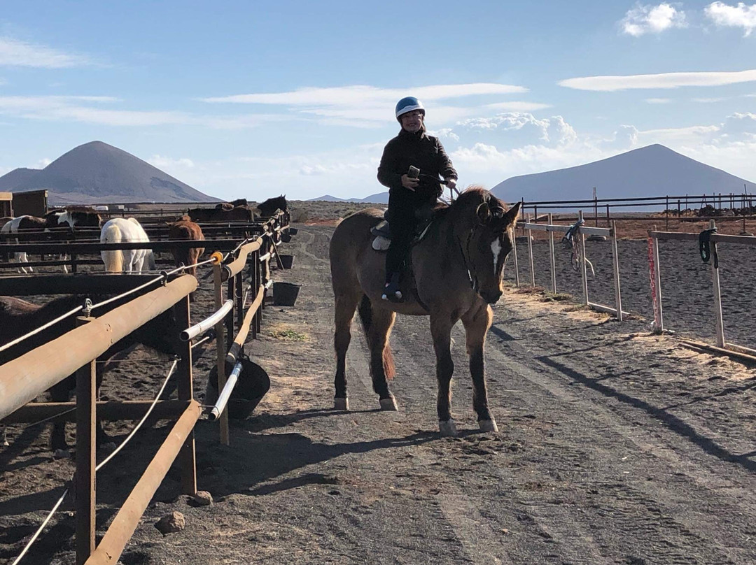 Horses Lanzarote景点图片