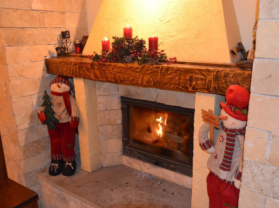 Inima Bucovinei主图