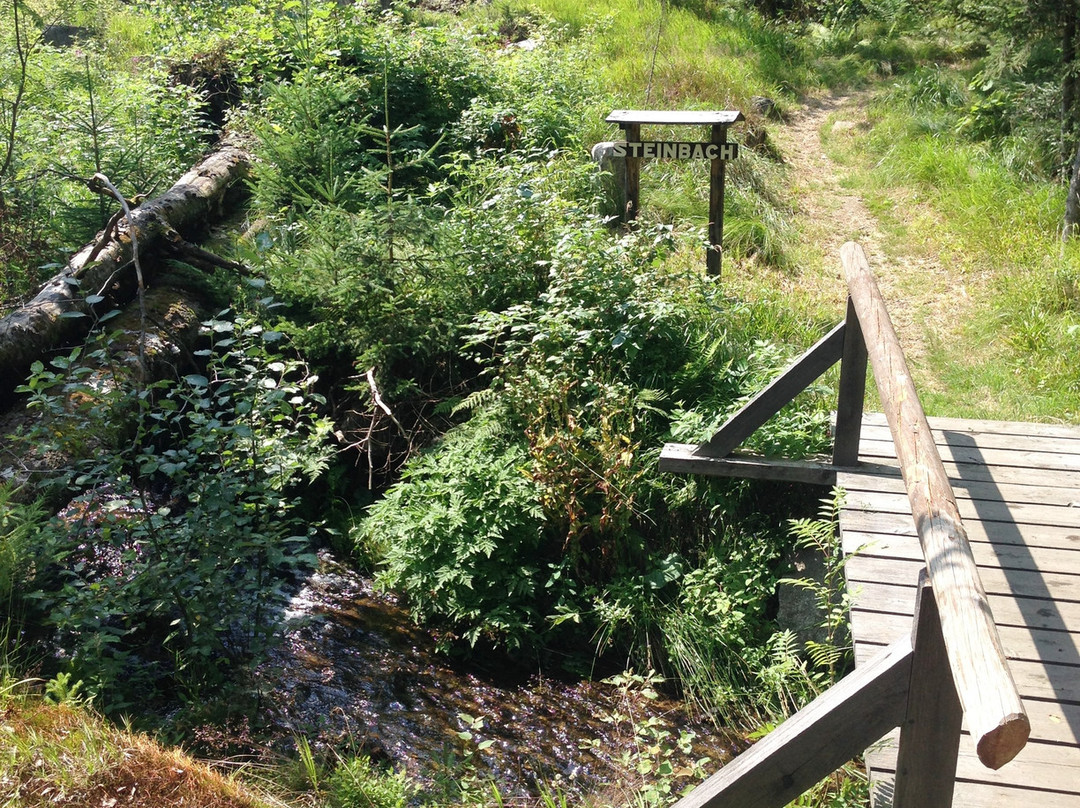 Scottish Highlander Guesthouse主图