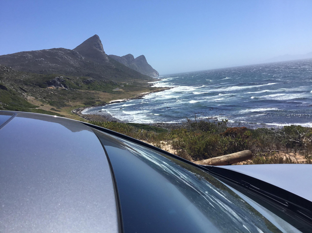 Kasi Africa Safari & Tours-开普敦中心区必去景点