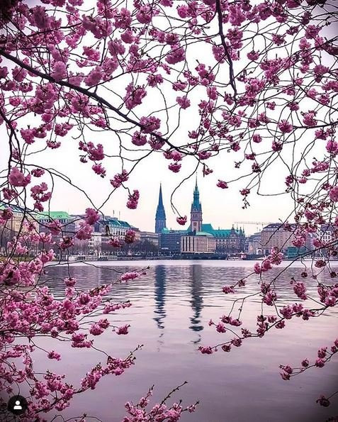 Binnenalster-汉堡必去景点