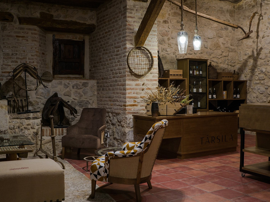 Bodegas Tarsila-瓦拉杜利德必去景点