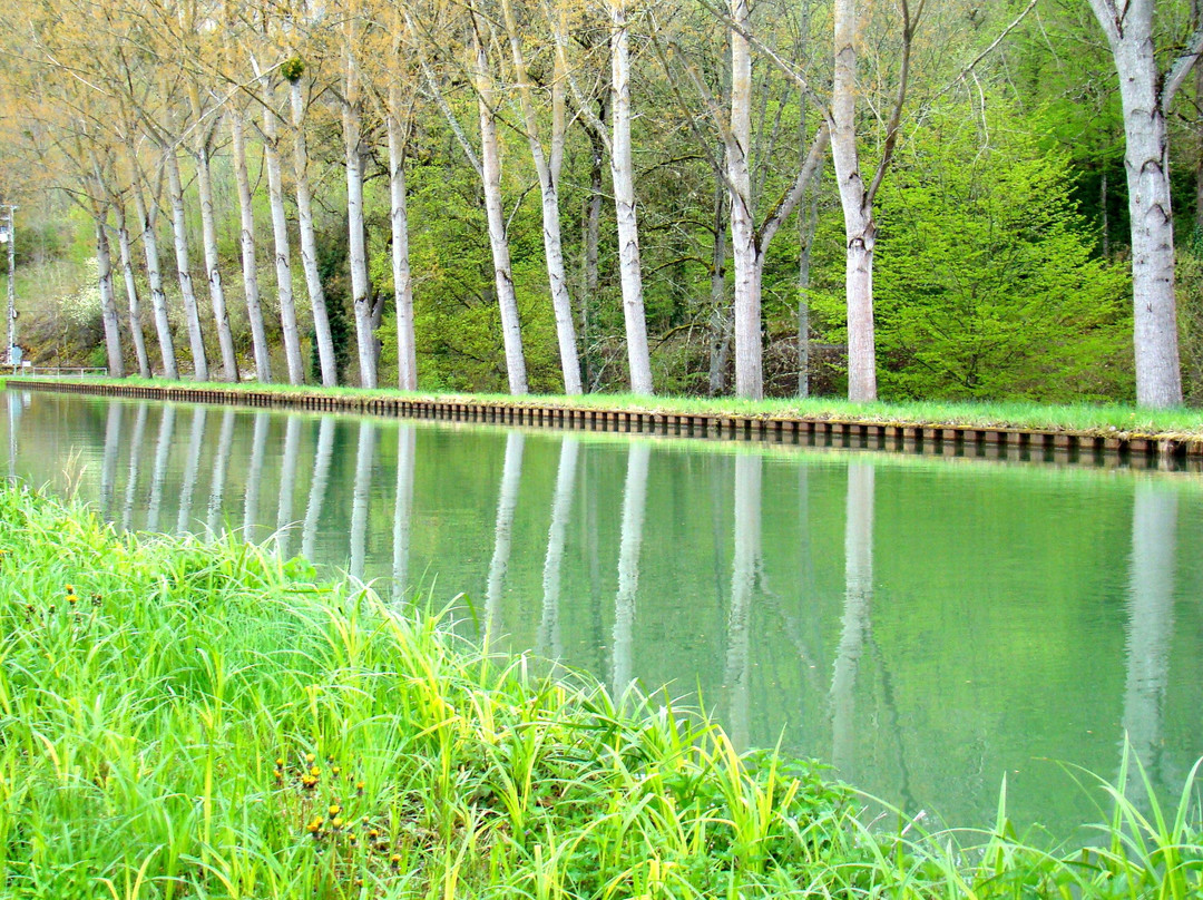 Elegant Waterways景点图片