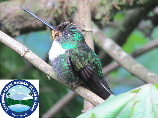 Cocora Travel-萨伦托必去景点