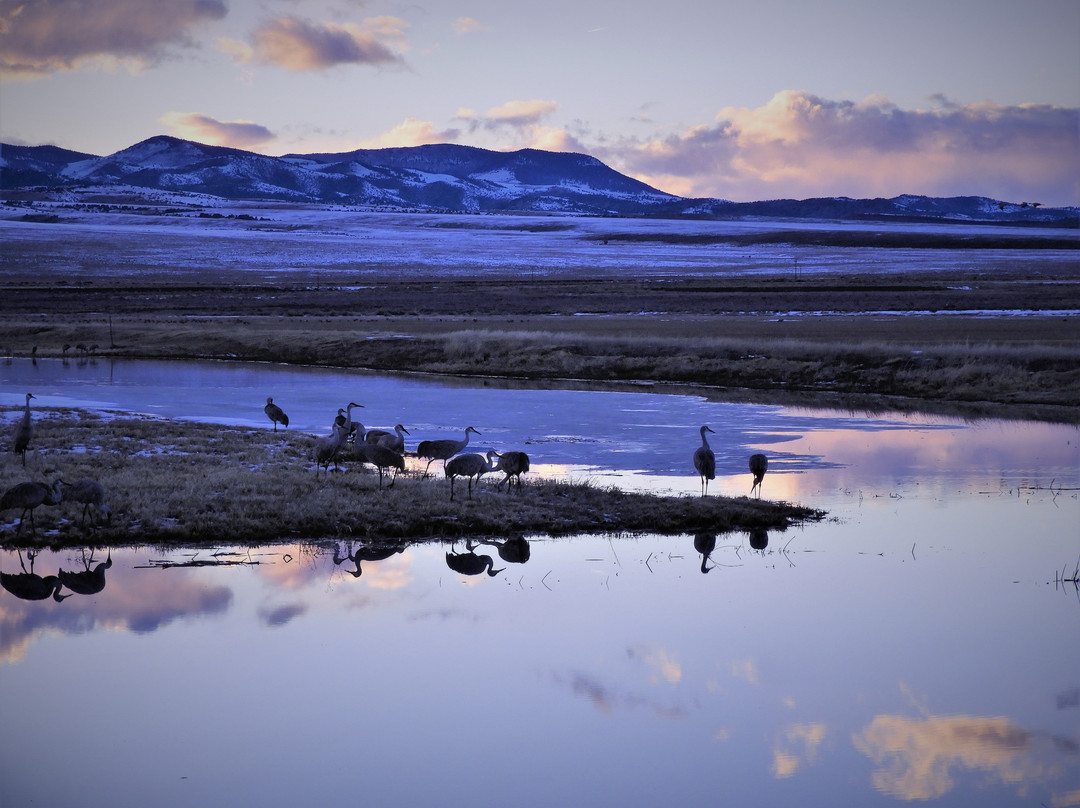 Monte Vista National Wildlife Refuge-Monte Vista必去景点