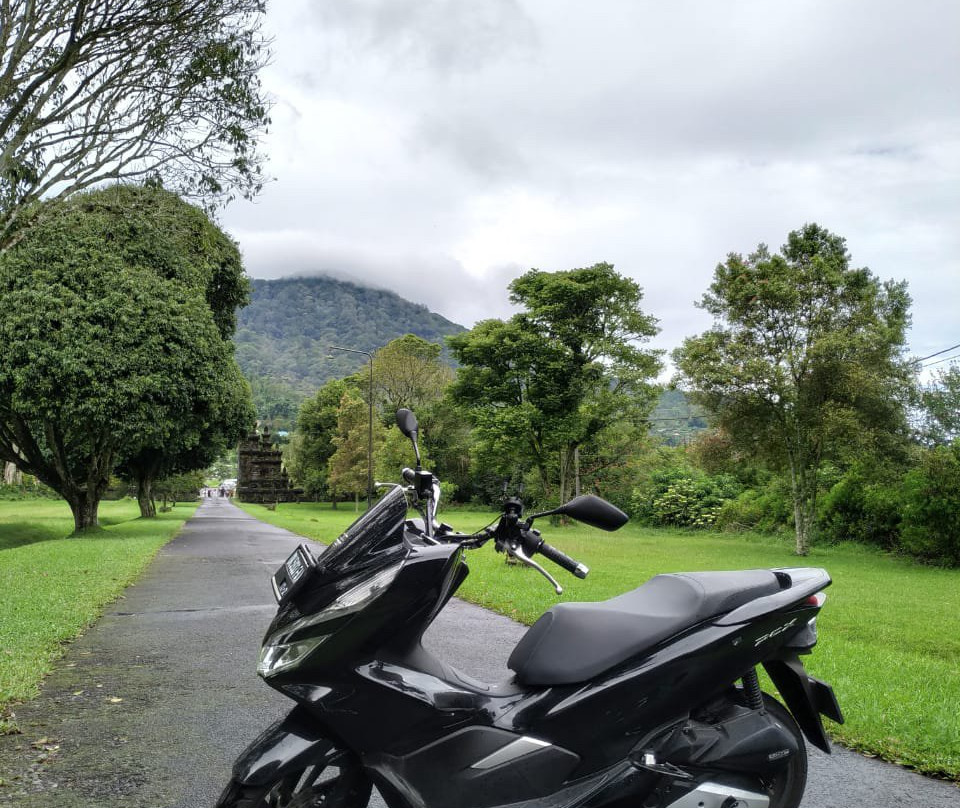 Bali Bike House景点图片