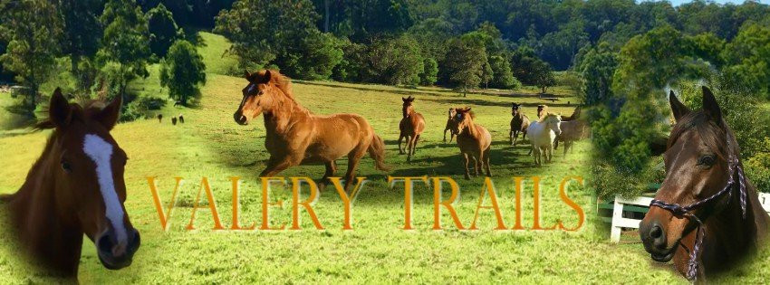 Valery Trails & Horse Riding Centre景点图片