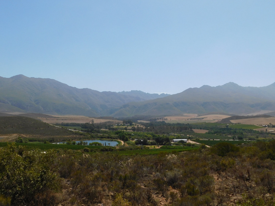 Jan Harmsgat Country House主图