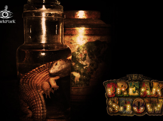 DarkPark-代尔夫特必去景点