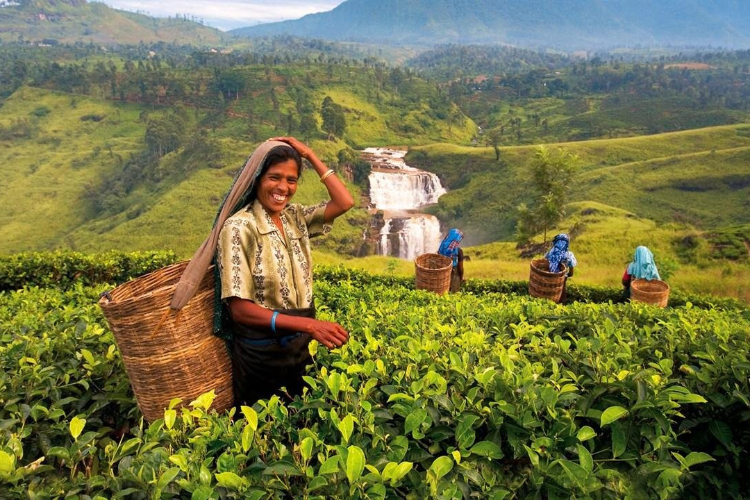 Tropical Lanka Getaways-堪培拉必去景点