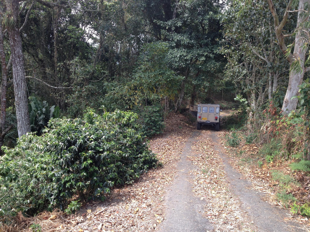 Finca La Coca-萨伦托必去景点