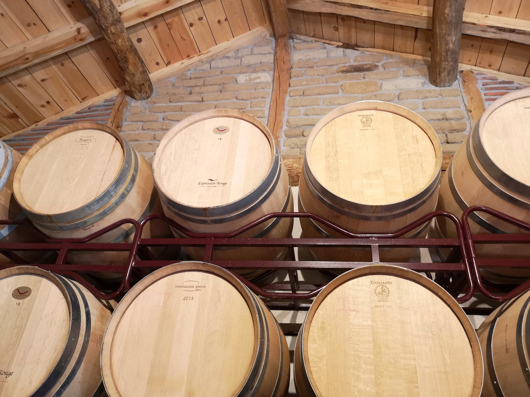 Las Dos Antiguas-Navas de Oro必去景点