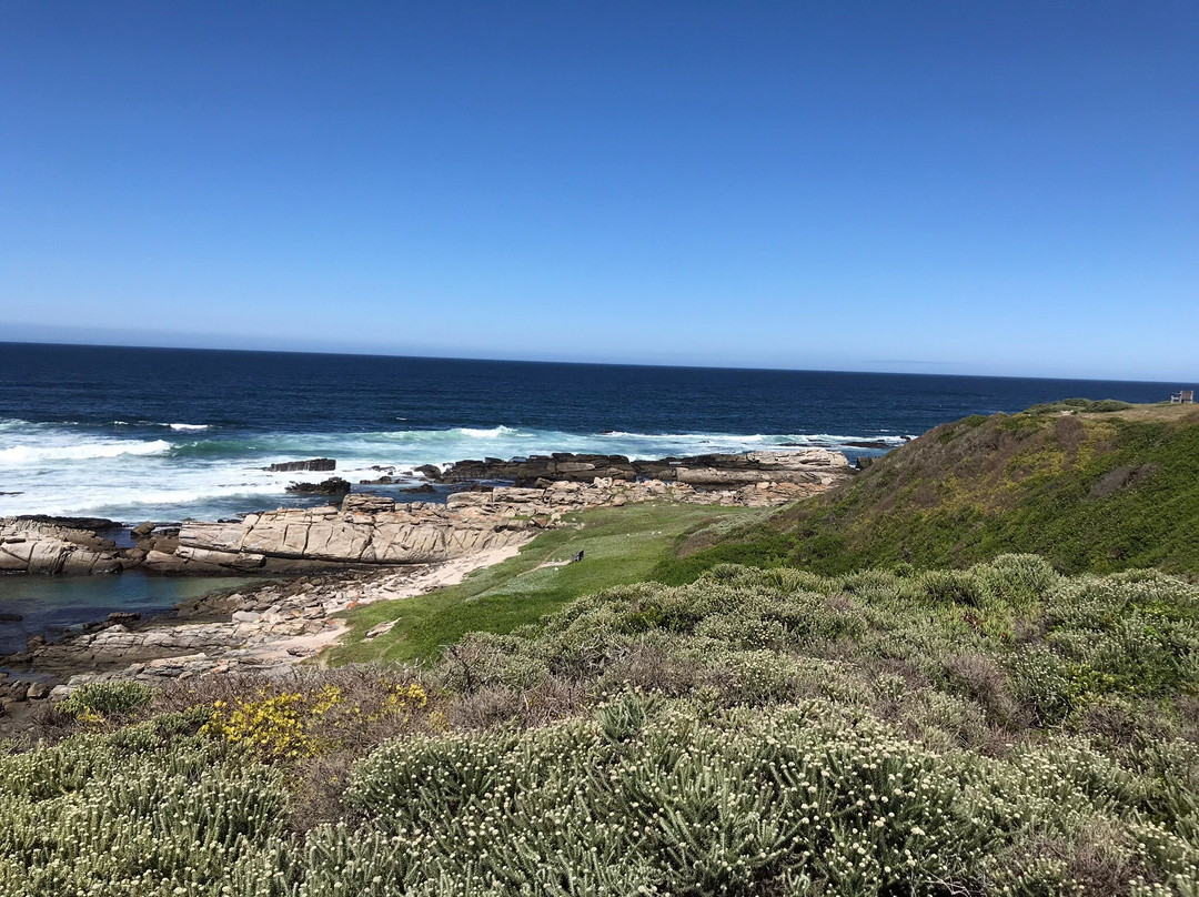 Sacremento Cannon-伊丽莎白港必去景点