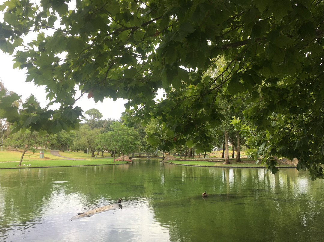 Rymill Park景点图片