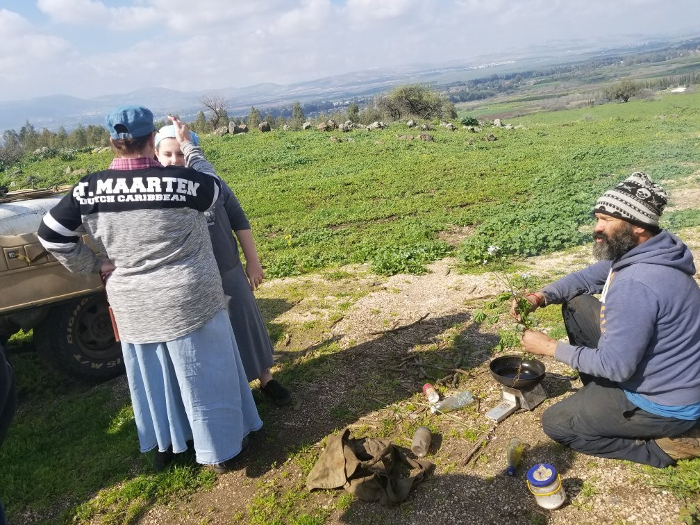 The Flying Turtle-Merom Golan必去景点