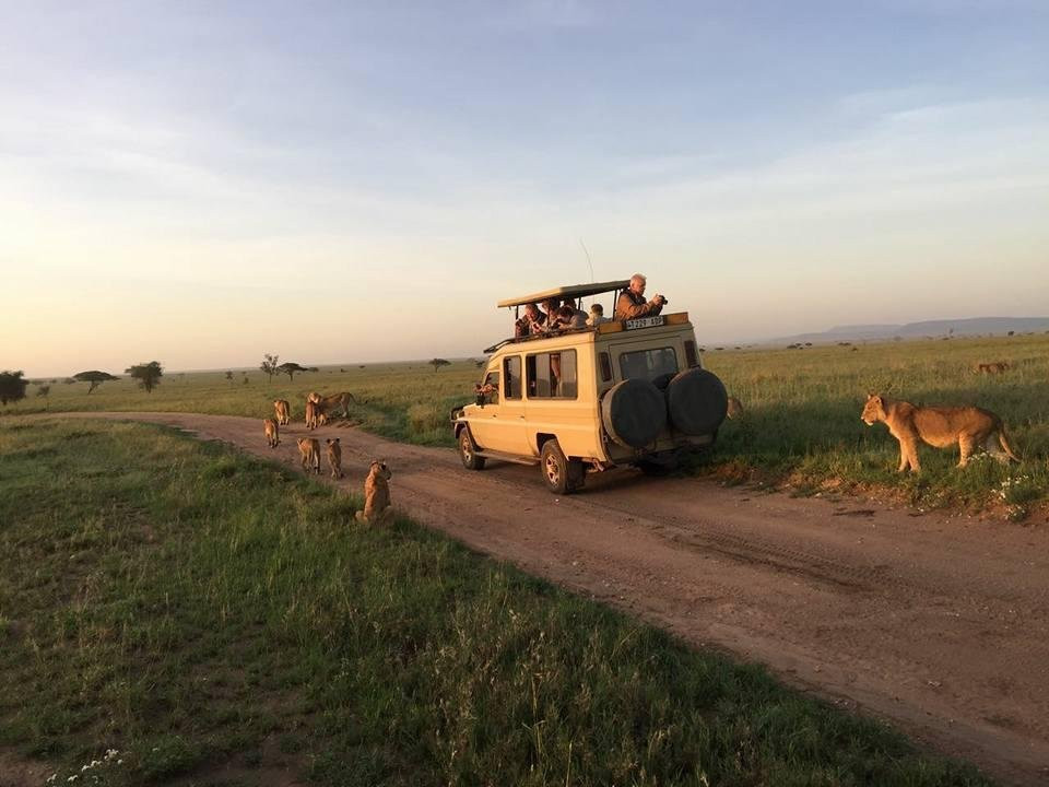 Africasana tours and safaris company-莫洛哥罗必去景点