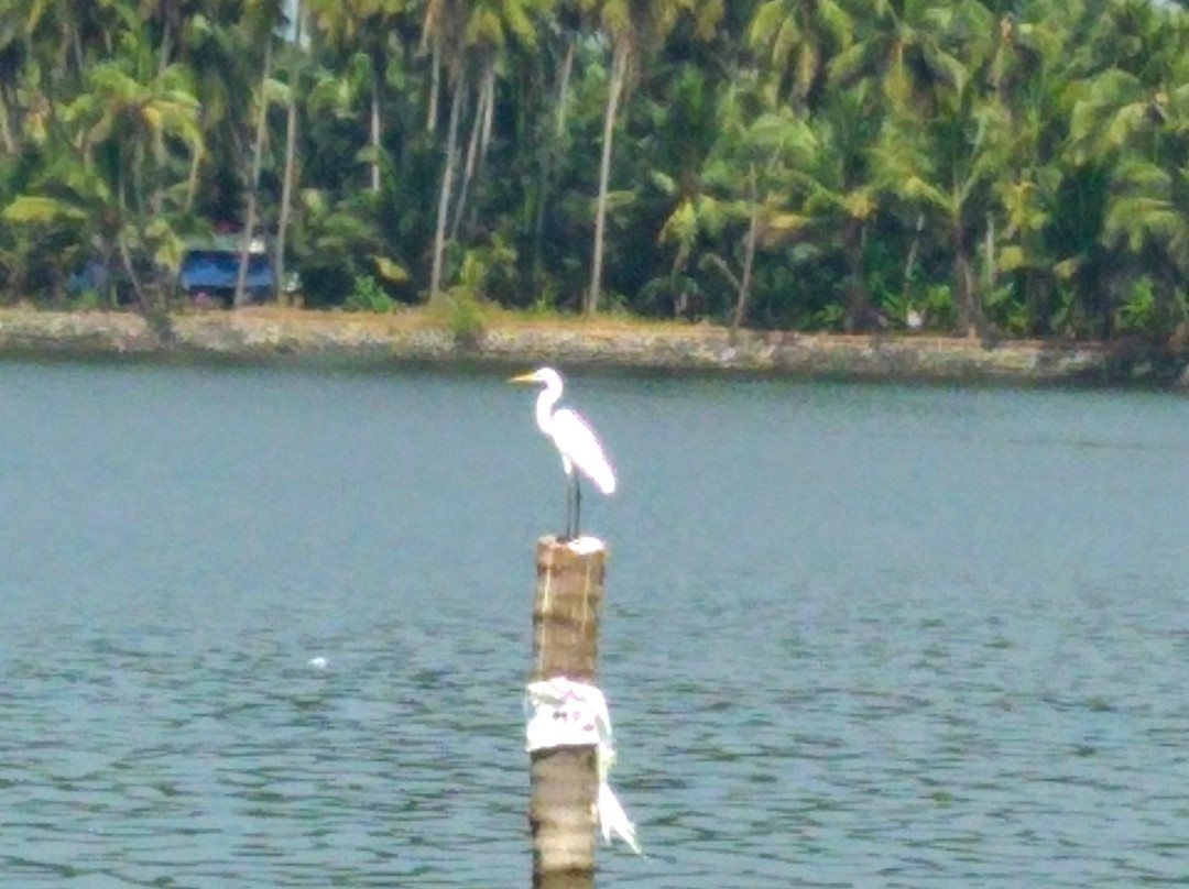 Bekal Riviera景点图片