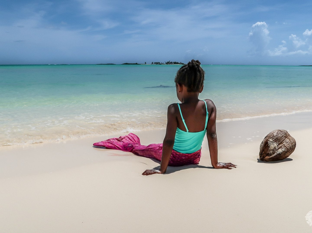 Abaco Mermaids-Green Turtle Cay必去景点
