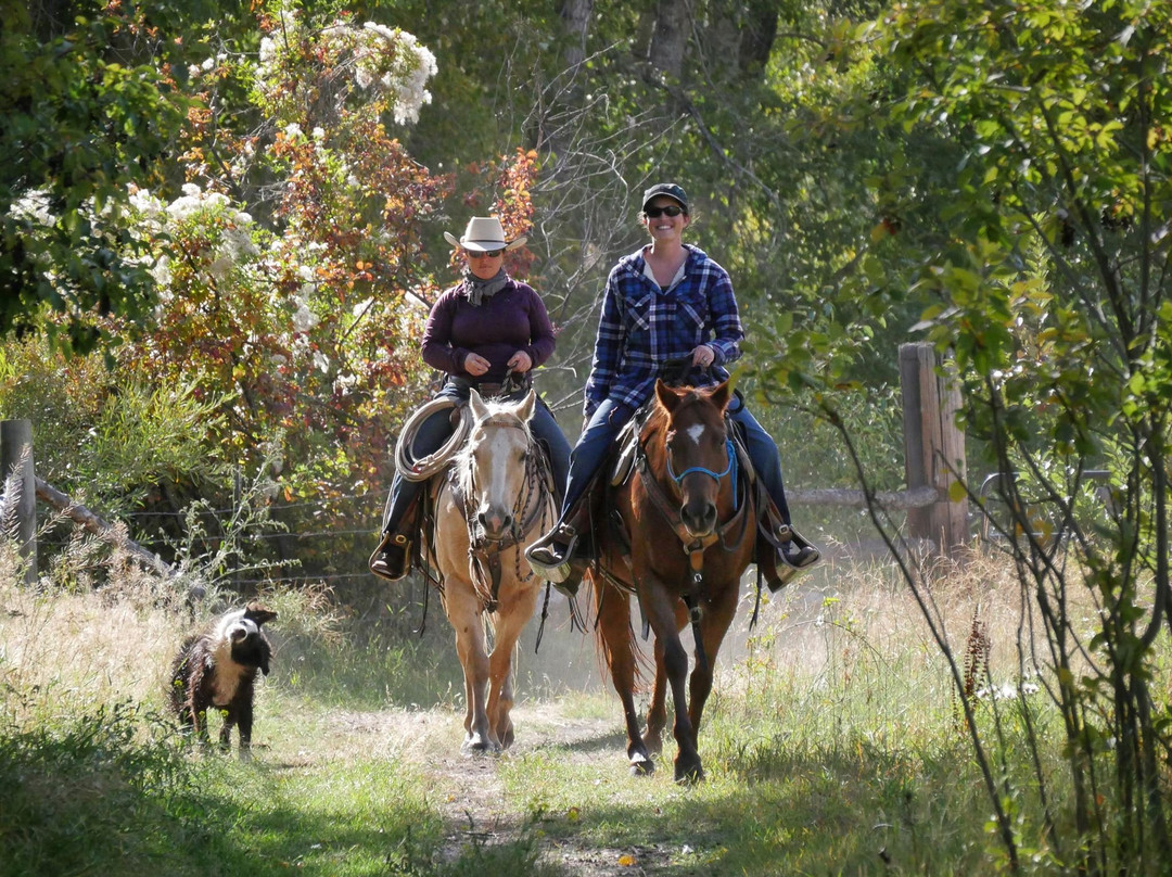 Rocking Z Guest Ranch